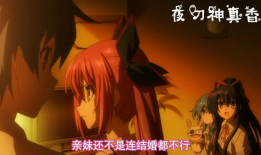 伦理动漫在线观看,探索动漫中的道德哲学之旅