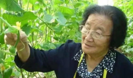 成都吃瓜爆料是真的吗,真相揭秘，是真是假？